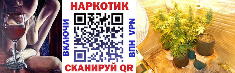 Хочу наркоту Алейск mega   ГАШ  Амфетамин  Псилоцибиновые грибы  МАРИХУАНА  КОКАИН 