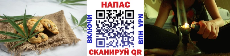 Canna-Cookies марихуана  даркнет сайт  Алейск 