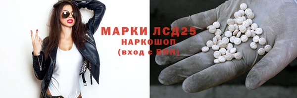 стаф Абинск